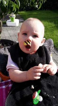 Bee-Patch -Randonnée Camping Magasin anti venin guepes abeilles frelon bourdon beepatch