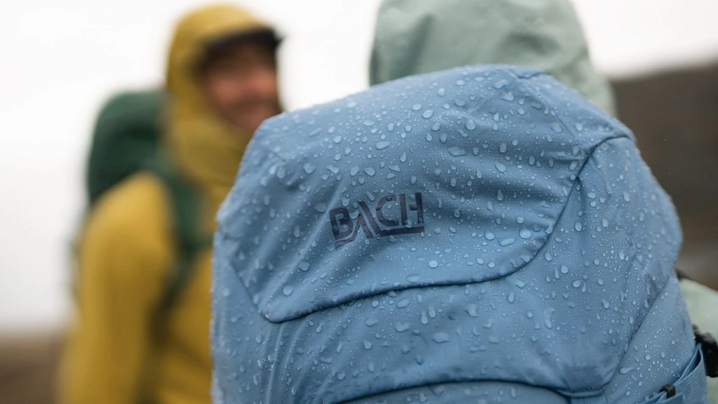 Bach Daydream 40 8 Bach Daydream 40 – Image 8