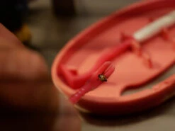 Clipbox Tick Twister -Randonnée Camping Magasin crochet anti tiques ticktwister 02