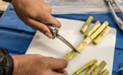 Leatherman Curl -Randonnée Camping Magasin multi outil pince multifonction leatherman curl 03 1