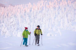 Fixations OAC EA 2.0 -Randonnée Camping Magasin oac skinbased 02