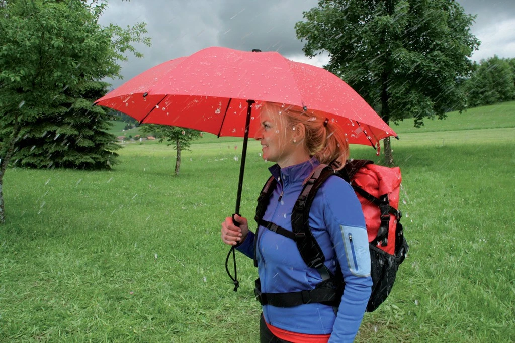 EuroSchirm Birdiepal Outdoor 12 EuroSchirm Birdiepal Outdoor – Image 12