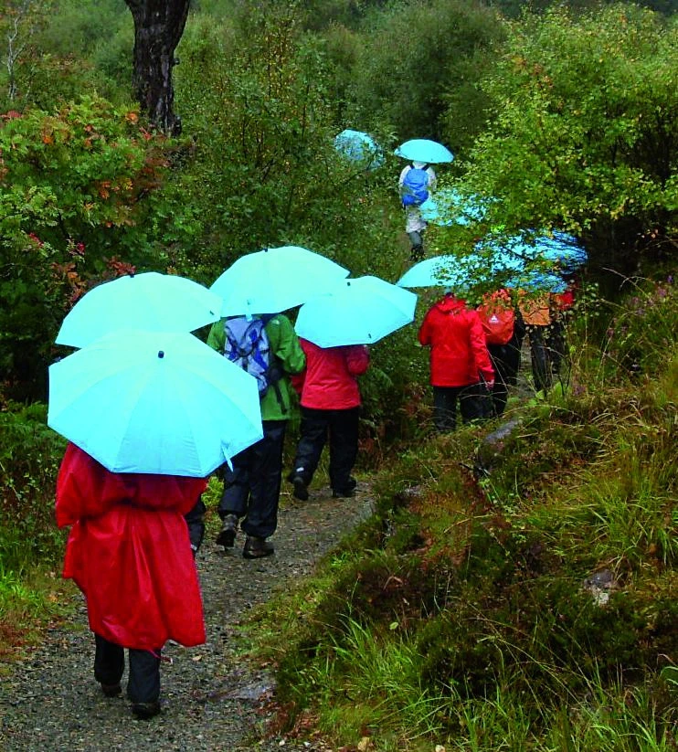 EuroSchirm Swing Liteflex 14 EuroSchirm Swing Liteflex – Image 14