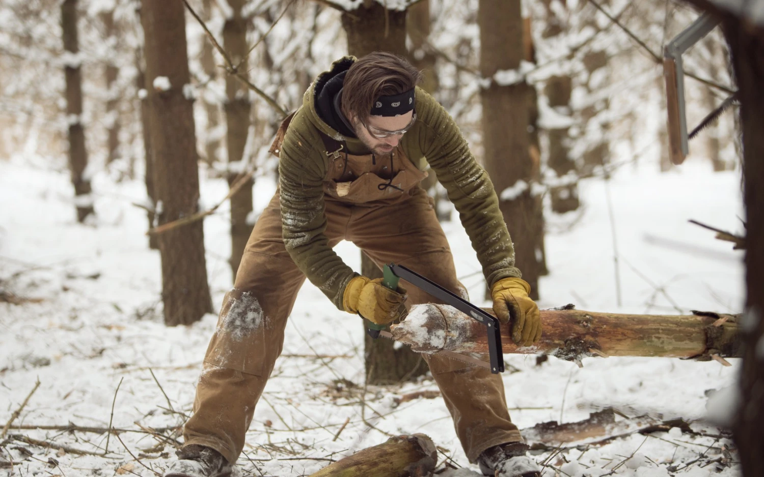 Agawa Canyon Boreal 15 16 Agawa Canyon Boreal 15 – Image 16