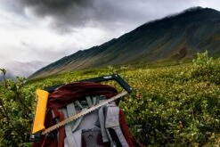 Agawa Canyon Boreal 15 38 Agawa Canyon Boreal 15 -Randonnée Camping Magasin scie pliante agawa canyon 05 1