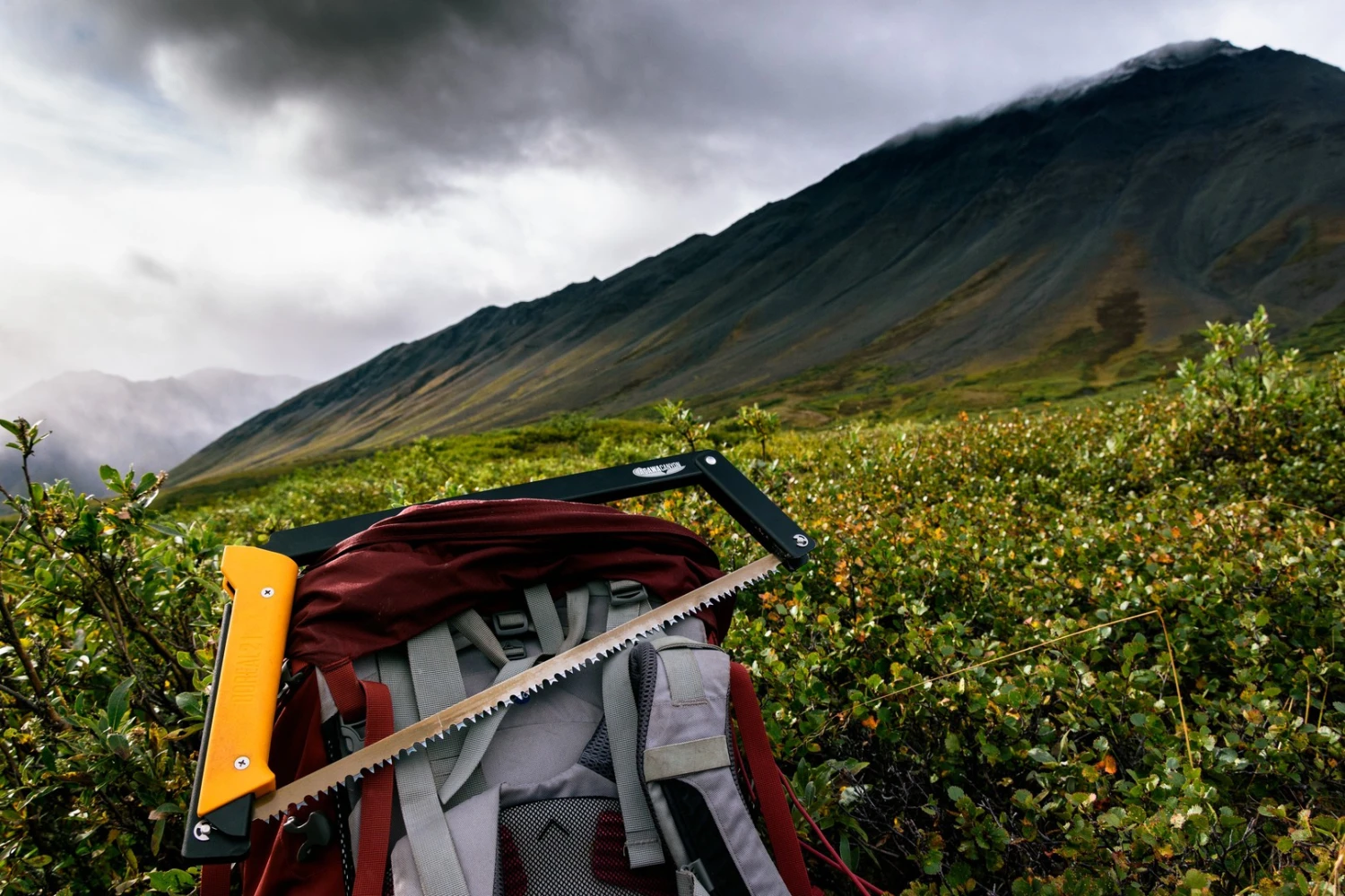 Agawa Canyon Boreal 15 19 Agawa Canyon Boreal 15 – Image 19