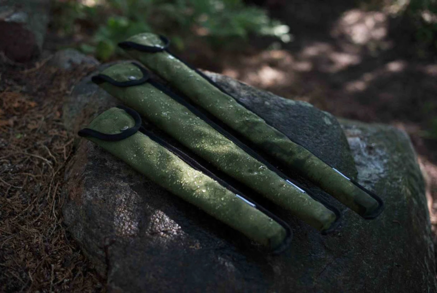 Agawa Canyon Boreal 15 18 Agawa Canyon Boreal 15 – Image 18