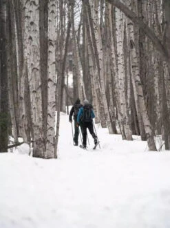 Madshus Panorama M68 (Epoch 68) 18 Madshus Panorama M68 (Epoch 68) -Randonnée Camping Magasin skis madshus panorama m68 03